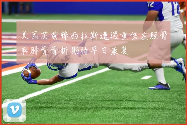 美因茨前锋西拉斯遭遇重伤左胫骨和腓骨骨折期待早日康复